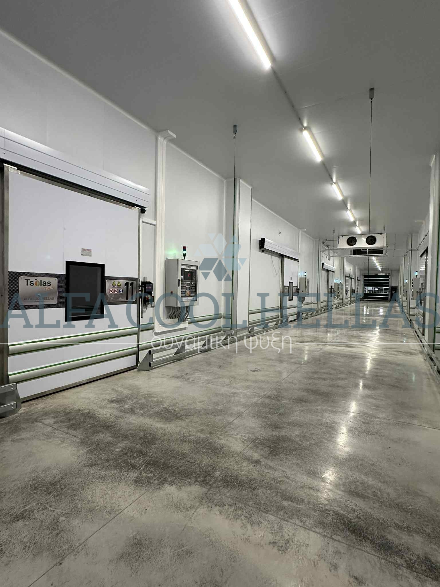 Ψυκτικοί θάλαμοι Δυναμικής Πρόψυξης Cold Treatment - Δυναμικής Ψύξης για Ακτινίδιο 