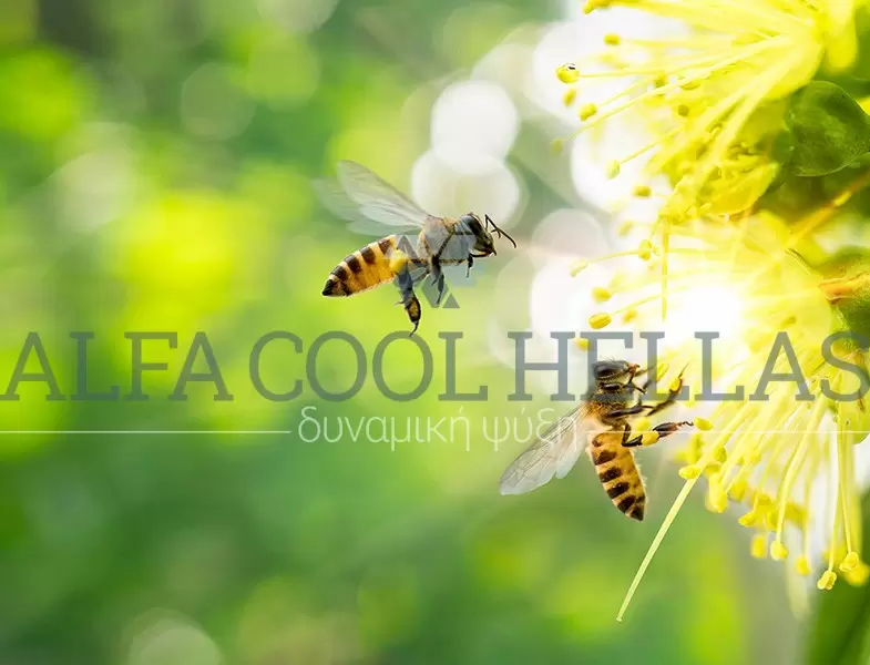 Άνθη, Φυτά & Μελισσοκομικά