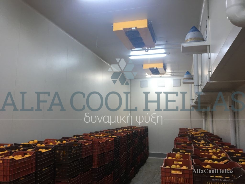 Ψυκτικοί Θάλαμοι Αποπρασινισμού Πορτοκαλιών