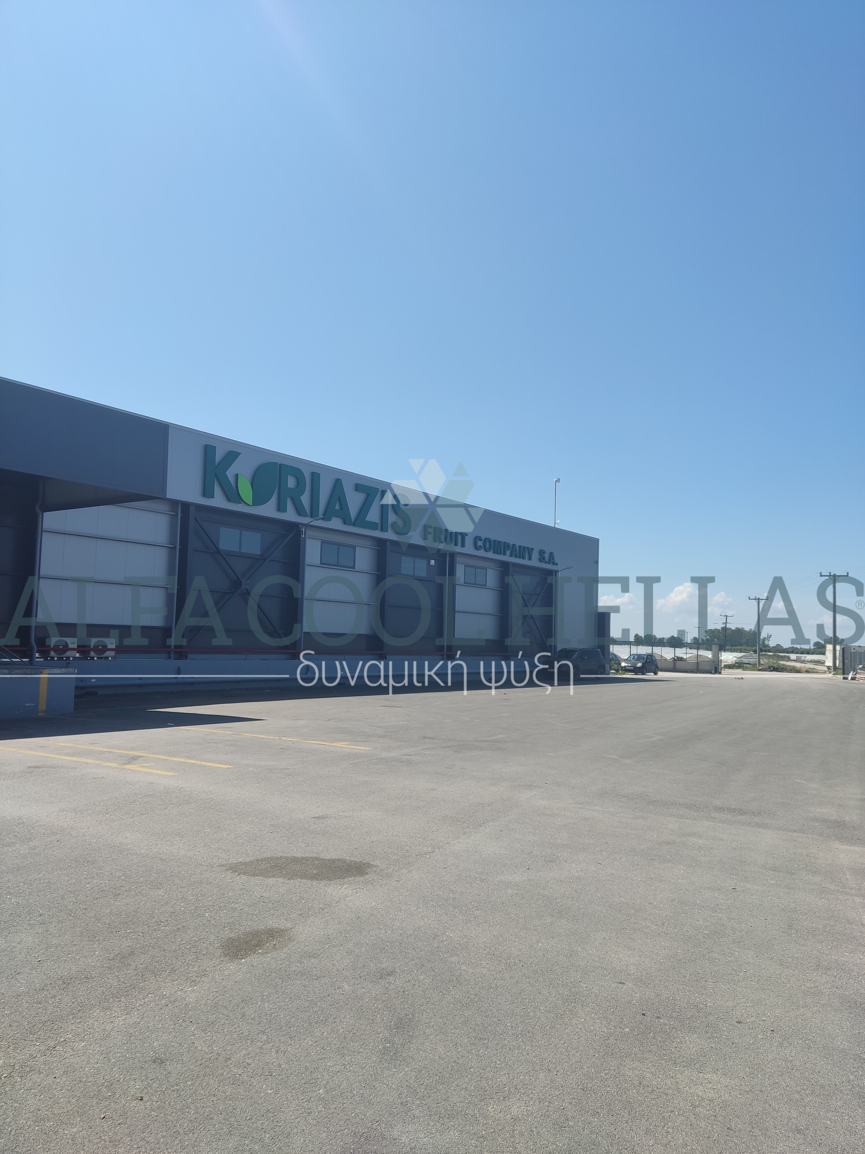 Ψυκτικοί Θάλαμοι Δυναμικής Πρόψυξης Φράουλας